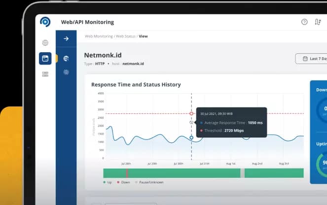 Website Monitoring