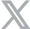 X Icon